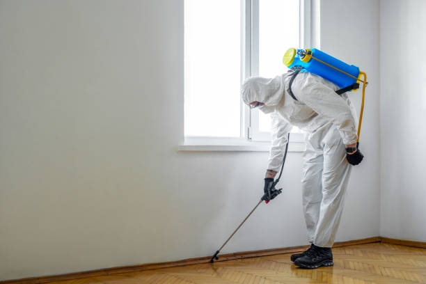 Emergency Pest Control Services in Hanover Park, IL